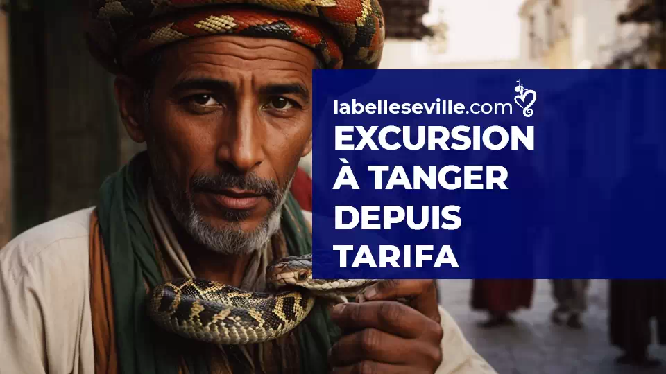 Depuis Tarifa Une Excursion D Un Jour A Tanger  - Excursion à Tanger depuis Tarifa – Circuits au Maroc depuis Tarifa
