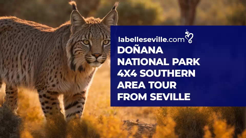 Donana National Park 4x4 Southern Area Tour From Seville - Doñana National Park 4×4 Southern Area Tour from el Rocio