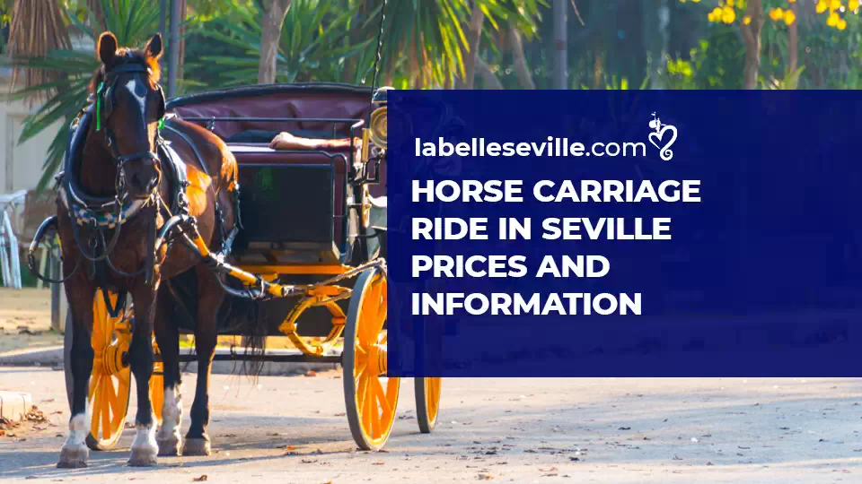 Horse Carriage Ride In Seville - Horse carriage ride in Seville – Prices and information