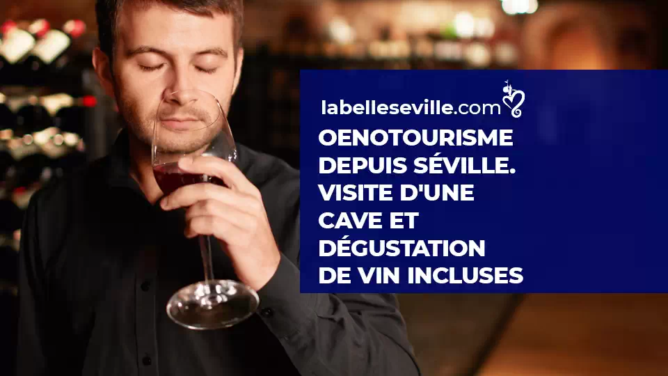 Oenotourisme Degustation De Vins Et Tourisme Viticole A Seville - Dégustation de vins à Séville – Œnotourisme – Tourisme viticole