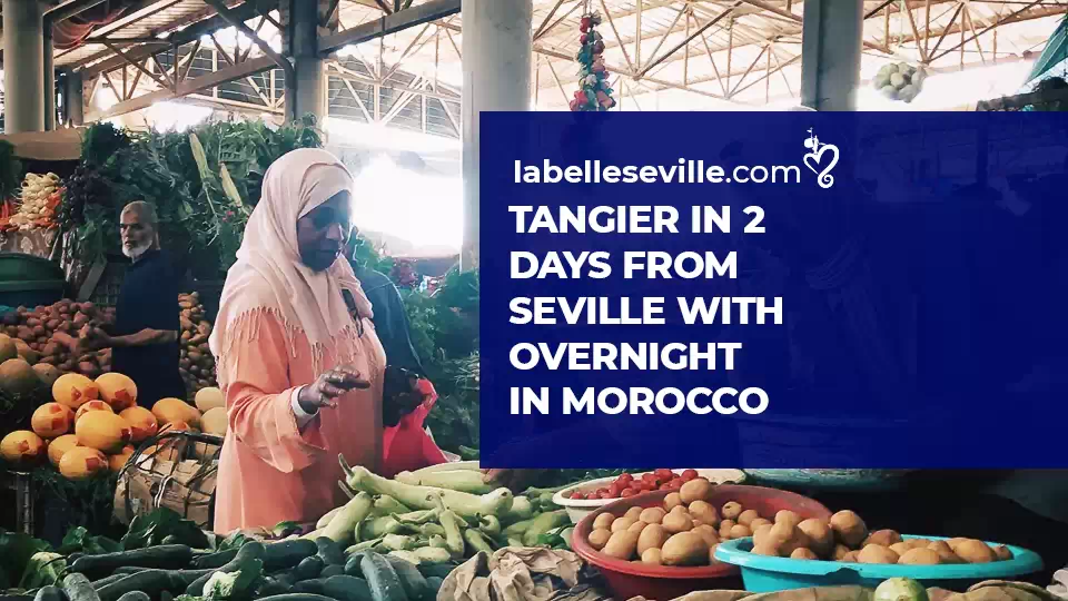  - Seville to Tangier 2-Day trip with Overnight Stay 4* hotel