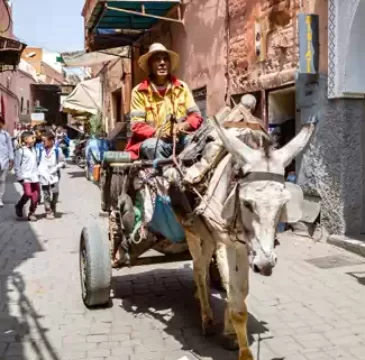 Guía de viaje de Tánger – La mejor manera de viajar por Tánger, Marruecos Tánger (Marruecos) es una de las ciudades con mayor diversidad cultural del mundo. Explore el verdadero Marruecos con una auténtica guía de turismo y cultura de Tánger. Conozca sus tradiciones, historia, religión y mucho más.