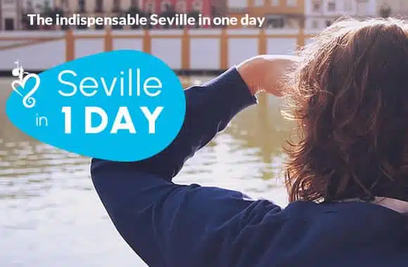 visit seville in 1 day with a professional guide